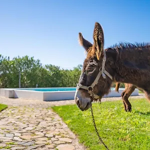 Séjour à la ferme Burro, Portimão